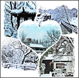 關(guān)于揚(yáng)州下雪詩(shī)句