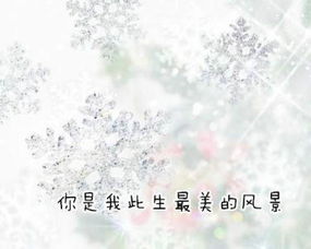 古詩句煽情