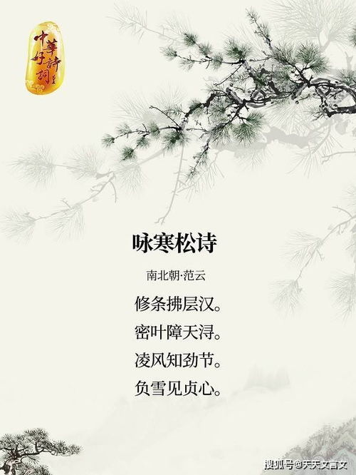 長(zhǎng)壽,松樹(shù),詩(shī)句,代表