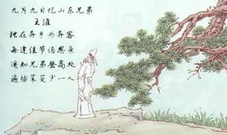 中有,古詩(shī),詩(shī)句,故鄉(xiāng)