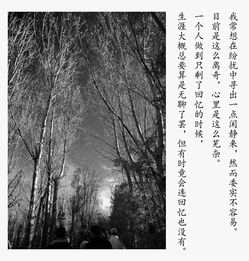關(guān)于故鄉(xiāng)與鄰居的詩句