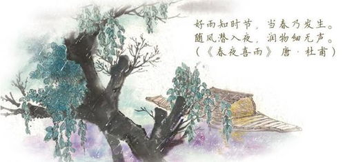 含有情的詩句古詩詞