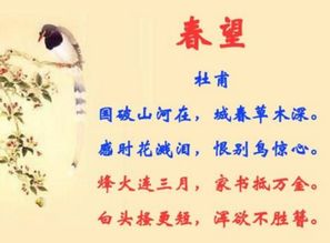 寫幾句表達(dá)思鄉(xiāng)情感的古詩(shī)句