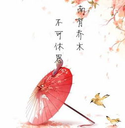 關(guān)于醉的唯美詩句
