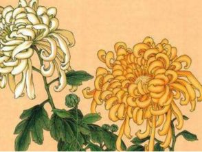 黃巢菊花的古詩句