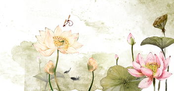 有關(guān)于蓮花的詩句