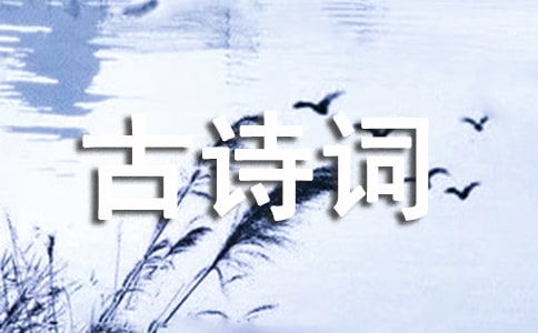 關(guān)于雨中登高望遠(yuǎn)的詩句