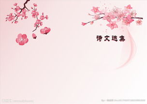 關(guān)于粉紅詩句