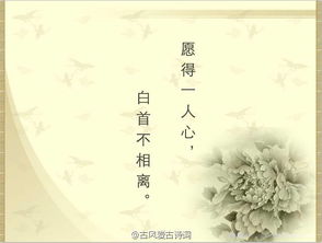 關(guān)于與你同行古詩(shī)句
