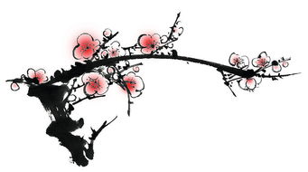詩句,學(xué)了,梅花,初中