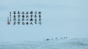 動靜相映的古詩句