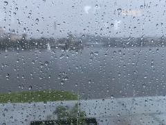 大雨滂沱,詩句