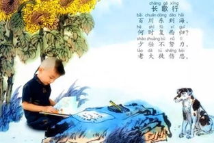 詩句,古詩文