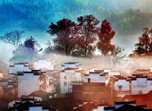 思鄉(xiāng)之句的詩(shī)句,描寫思鄉(xiāng)的詩(shī)句,思鄉(xiāng)之情的詩(shī)句