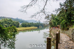 關(guān)于云水謠詩句
