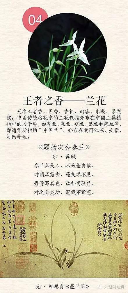 詩句里帶有花的古詩