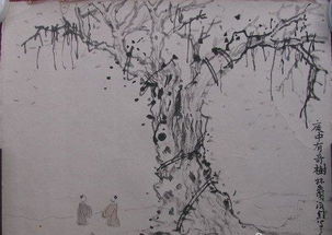樹的詩句古詩,描寫樹的詩句古詩,樹開頭的詩句古詩