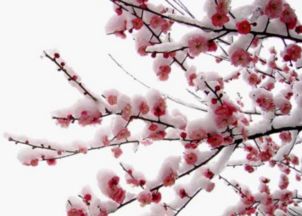 關(guān)于中秋的古詩(shī)句五言絕句,關(guān)于誠(chéng)信的古詩(shī)句五言絕句,廉潔古詩(shī)句五言絕句