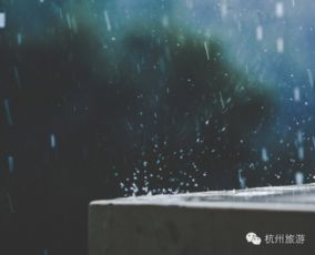 關(guān)于冬雨的古詩句