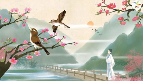 鳥蟲鳴詩句古詩大全