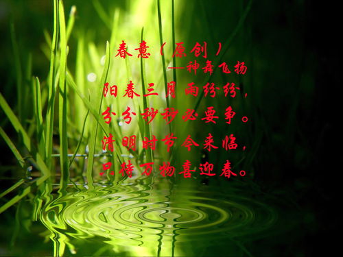 描寫春天風(fēng)景的詩句古詩大全