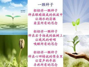 關于友愛的現代詩句