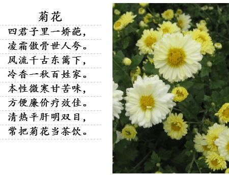 詩句,美滿,愛情