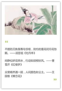 贊美女古詩句