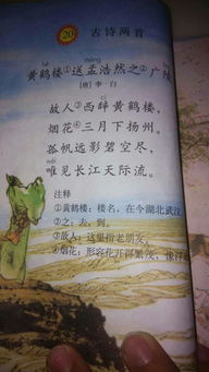 看臺在古詩句里是什么意思