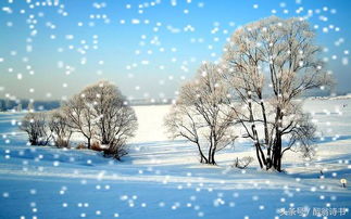描寫冬天的飛雪的古詩(shī)句
