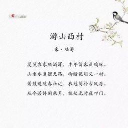 積極努力的人生態(tài)度的詩(shī)句,樂(lè)觀積極的人生態(tài)度的詩(shī)句,表達(dá)積極人生態(tài)度的詩(shī)句