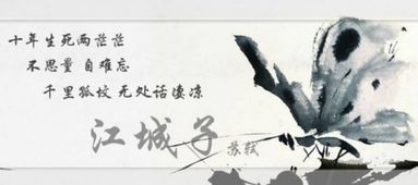 不善于表達(dá)愛意的詩(shī)句或古詩(shī)
