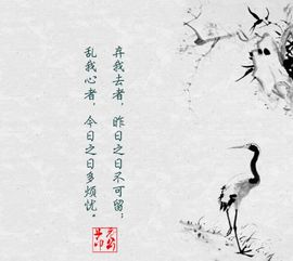關(guān)于形容稚嫩的詩句