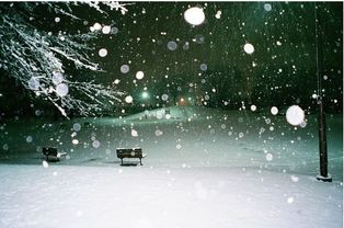關(guān)于雪的悲傷詩句
