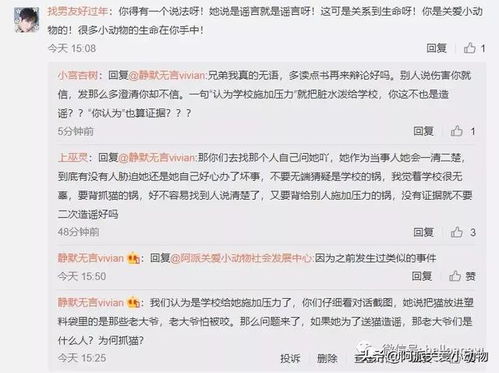詩句,加油,文章