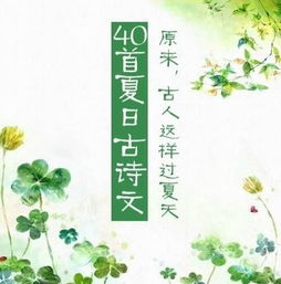 古詩,詩句,景色,夏天