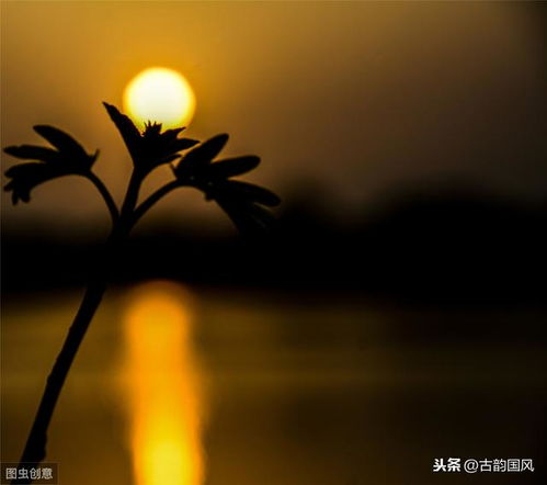 關(guān)于思鄉(xiāng)的詩句和名言,關(guān)于思鄉(xiāng)的名言不要詩句,思鄉(xiāng)的名言名句和詩句