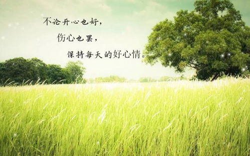 描寫夏天心情好的詩句,夏天心情好的詩句唯美意境,早上心情好的詩句夏天