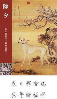 古詩,詩句
