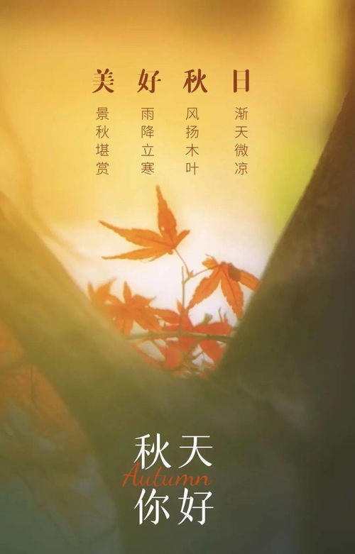 古詩,詩句,于月