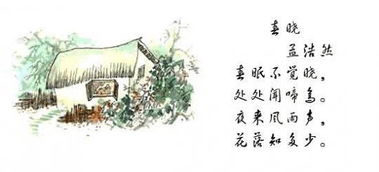 描寫花風雨草鳥的詩句古詩