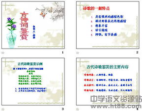 中考重點(diǎn)古詩句鑒賞