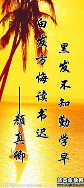 關(guān)于讀書有關(guān)的名言警句或詩句,關(guān)于讀書的名言警句詩句故事,寫讀書的名言警句,詩句