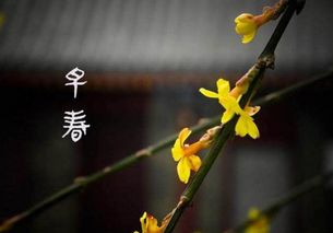 古詩,詩句,復蘇,萬物