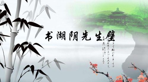 關(guān)于書湖陰先生壁的詩句