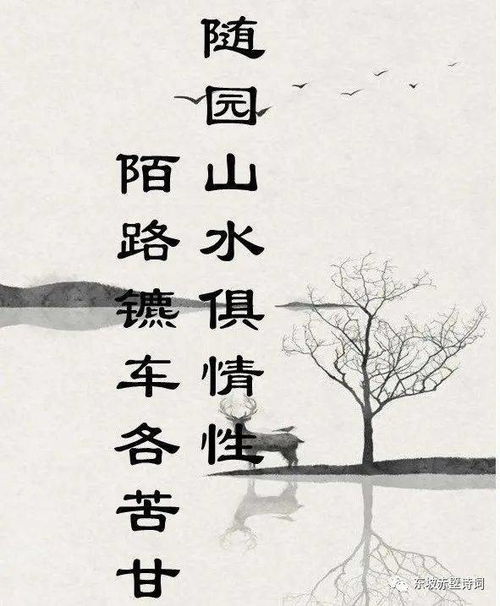 關(guān)于撿的詩句