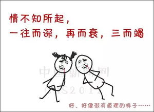 形容看完就忘的古詩句