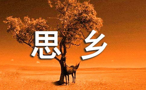 關(guān)于月和鄉(xiāng)愁的詩(shī)句