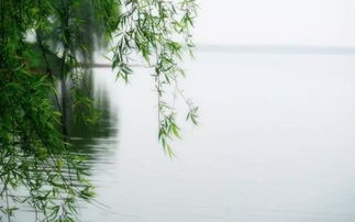 柳暗花明的古詩句