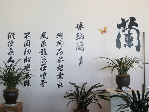 關(guān)于蘭花的古詩或詩句有哪些